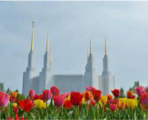 Temple with tulips in the foreground
